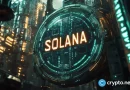 Solana Price Drops to $200 Support as RSI Signals Oversold Conditions
