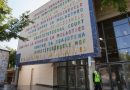 Delays at Constitutional Court Erode Public Trust in Justice System